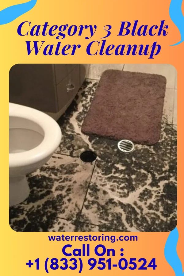 Category 3 Black Water Cleanup in Mocanaqua, PA