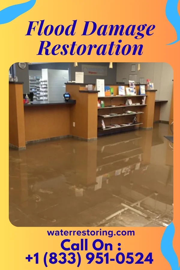 Flood Damage Restoration in Mocanaqua, PA