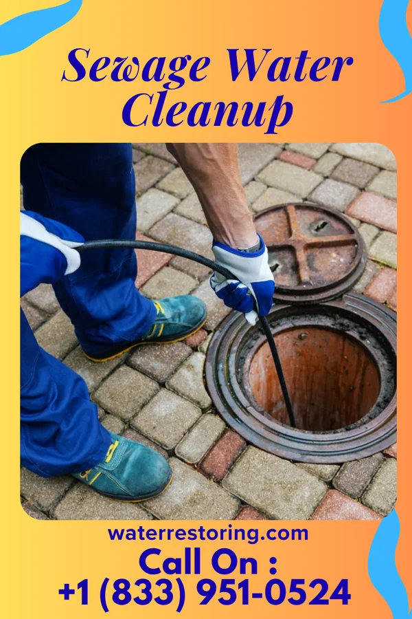 Sewage Water Cleanup in Mocanaqua, PA