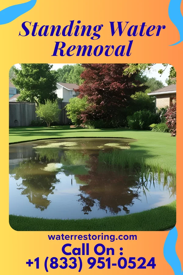 Standing Water Removal in Mocanaqua, PA